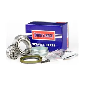 BORG & BECK BWK1059