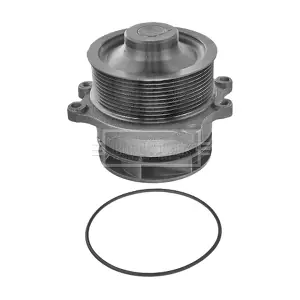BORG & BECK BWP32699