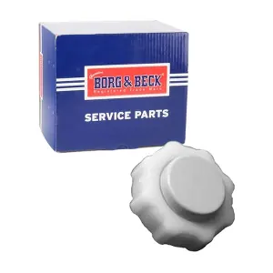 BORG & BECK BRC98