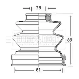 BCB2458 BORG & BECK