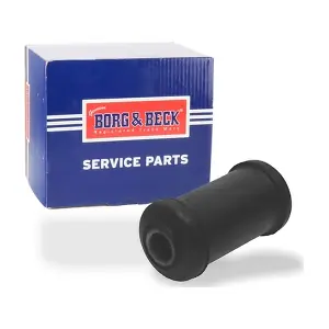 BORG & BECK BSK6163