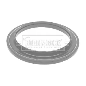 BORG & BECK BSM5294