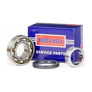 BWK945 BORG & BECK