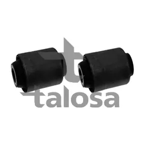57-21658 TALOSA