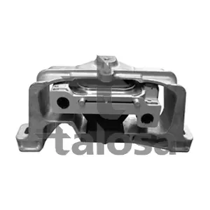 61-14013 TALOSA