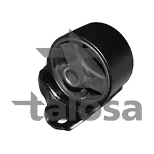 61-02638 TALOSA