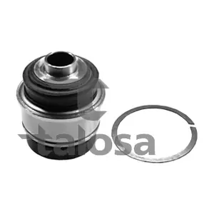 64-08894 TALOSA