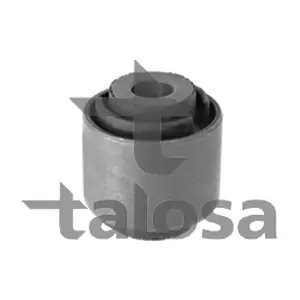 57-13829 TALOSA