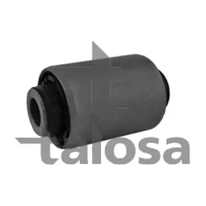 57-19917 TALOSA