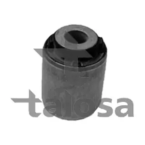 57-21905 TALOSA