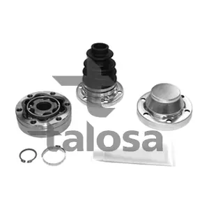 77-20820 TALOSA