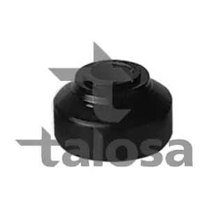 65-05843 TALOSA