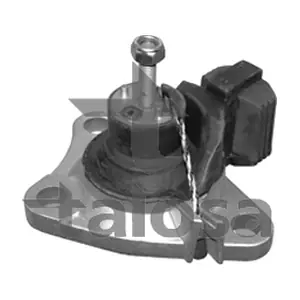 61-11077 TALOSA