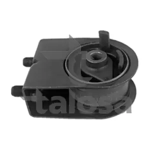 61-06895 TALOSA