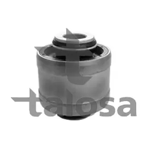 57-13368 TALOSA
