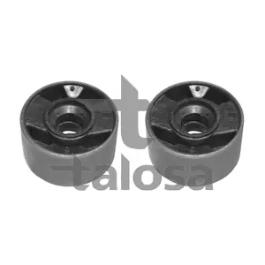 57-21284 TALOSA