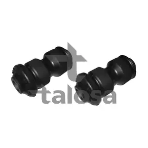57-21281 TALOSA