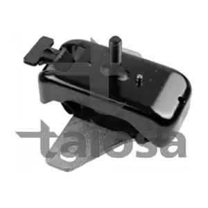 61-21243 TALOSA