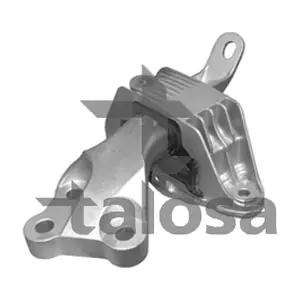 61-06991 TALOSA