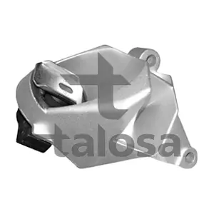6111137 TALOSA