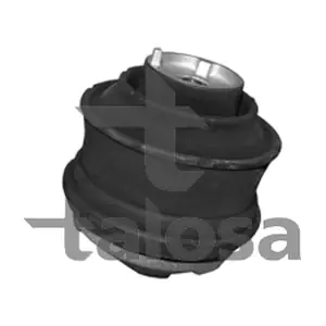 61-06859 TALOSA