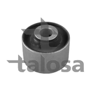 57-17529 TALOSA