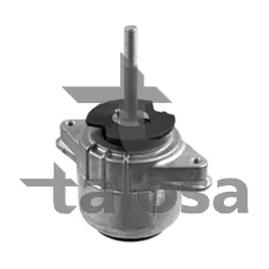 61-17581 TALOSA