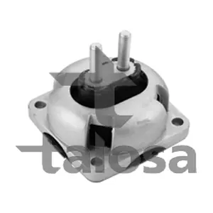 61-21098 TALOSA