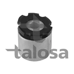 57-22958 TALOSA