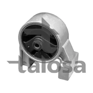 61-06843 TALOSA