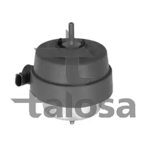 61-19919 TALOSA