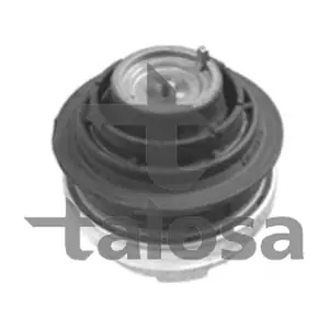61-06871 TALOSA