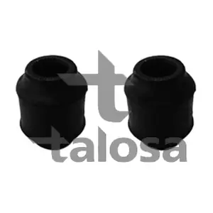 57-21497 TALOSA