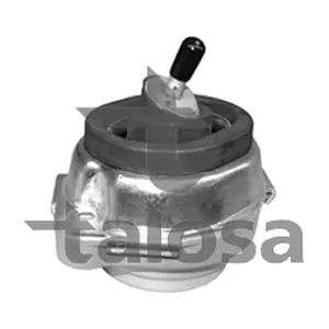 61-06639 TALOSA