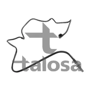 68-21202 TALOSA