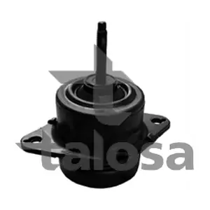 61-16638 TALOSA