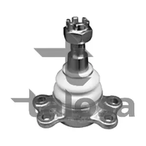 TALOSA 47-02666