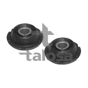 57-05825 TALOSA
