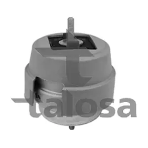 61-20824 TALOSA