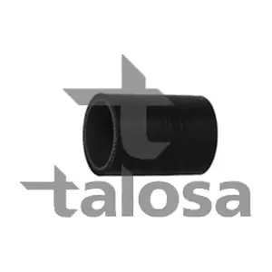 66-18863 TALOSA