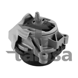 61-25617 TALOSA