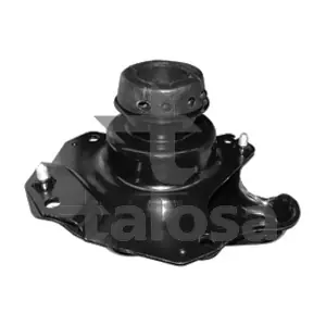 61-05324 TALOSA