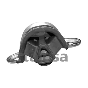 61-06916 TALOSA