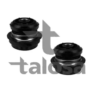 57-21596 TALOSA