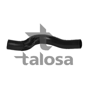 67-19329 TALOSA