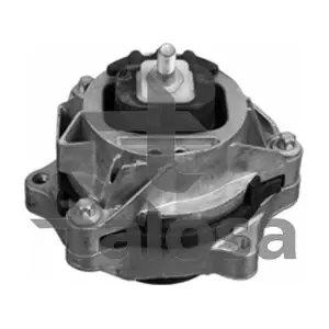 61-20884 TALOSA