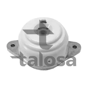 61-13768 TALOSA