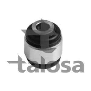 57-17861 TALOSA
