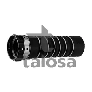 66-20354 TALOSA