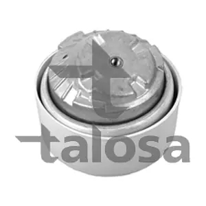 61-06869 TALOSA